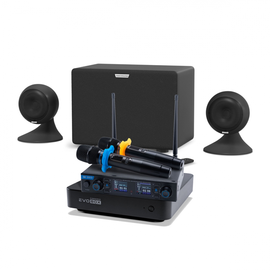 караоке-комплект EVOBOX + EvoSound Sphere 2.1 в Кызыле