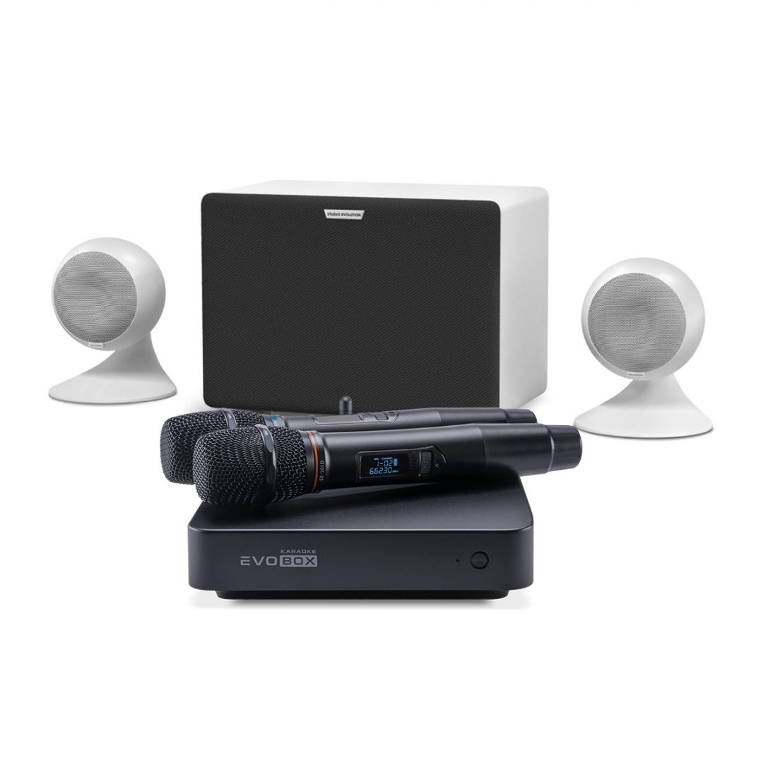 караоке-комплект EVOBOX Classic + EvoSound Sphere 2.1 в Кызыле