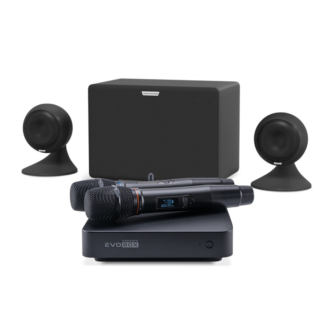 караоке-комплект EVOBOX Plus + EvoSound Sphere 2.1 в Кызыле