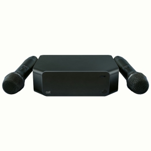 Профессиональная караоке-система AST Zoom 2 (AST-90) в Кызыле
