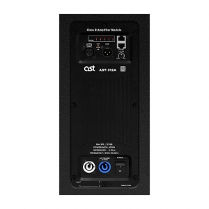 Активная акустическая система AST-312A в Кызыле