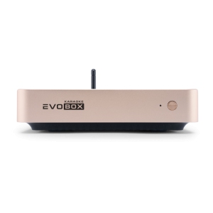 EVOBOX Classic караоке-система для дома в Кызыле