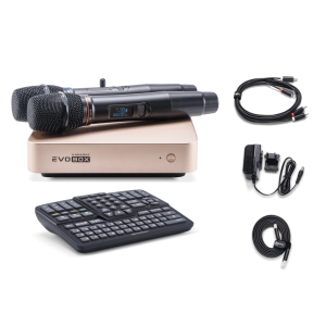 EVOBOX Classic караоке-система для дома в Кызыле