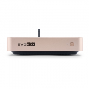 EVOBOX Plus караоке-система для дома в Кызыле