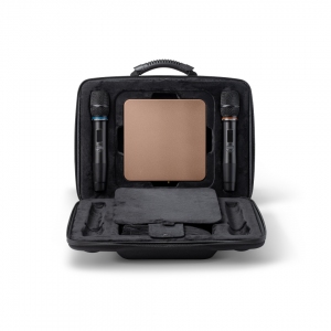 EVOBOX Plus караоке-система для дома в Кызыле